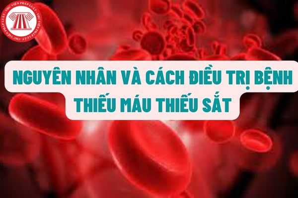 Các xét nghiệm về thiếu máu