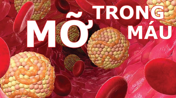 Các xét nghiệm mở máu