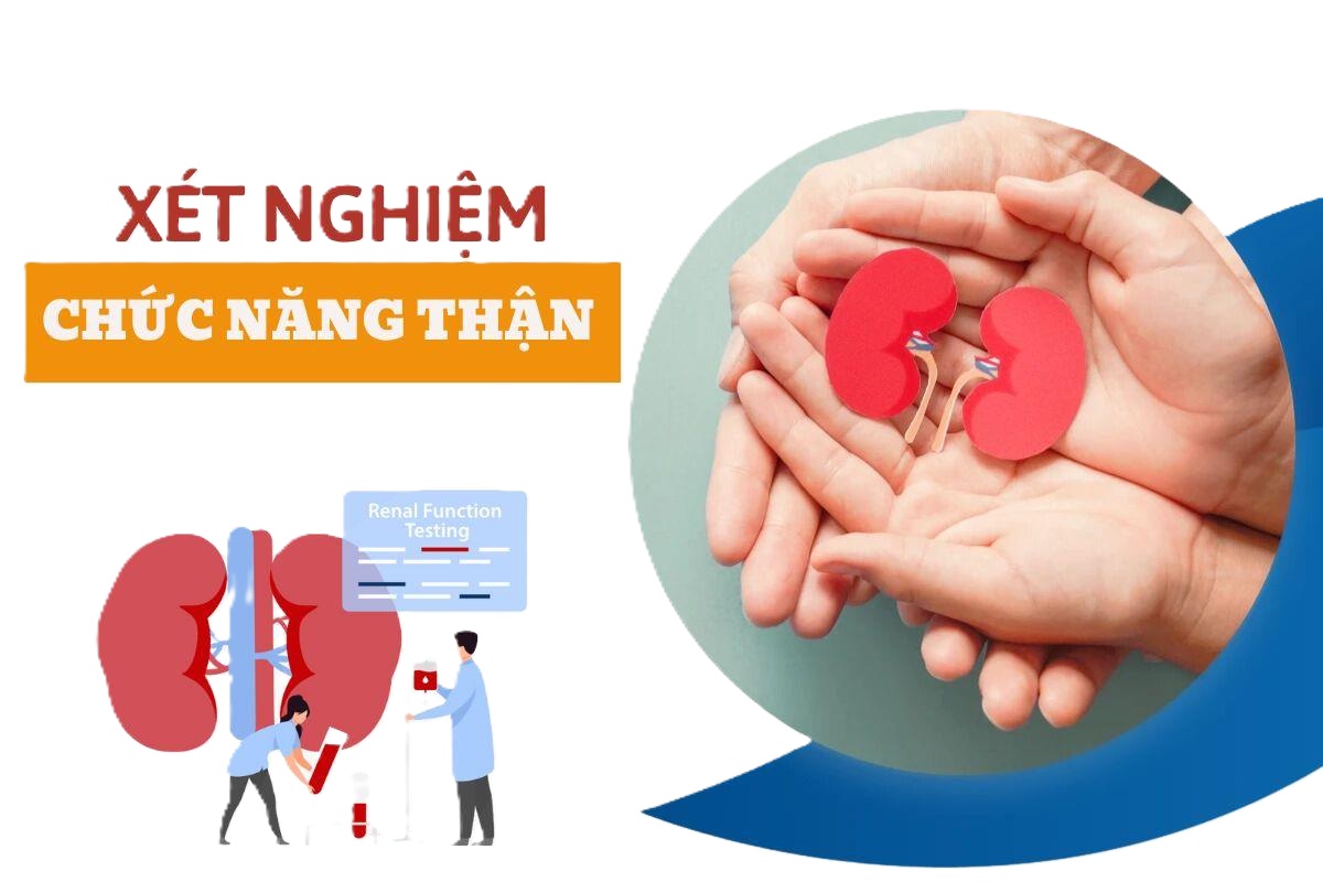 Các xét nghiệm chức năng thận
