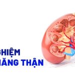 Định lượng Urê | 2,5-7,5 mmol/l