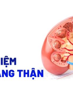 Định lượng Createnin | 62-120 µmol/l