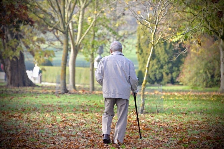 https://images.prismic.io/24hrcares/NmY4OTZlMjctNjhkMC00MWJjLWFiODktYzNhMWE4ZmY0NWRi_elderly-man-walking-in-park.jpg?auto=compress%2Cformat&h=630&rect=0%2C53%2C750%2C394&w=1200