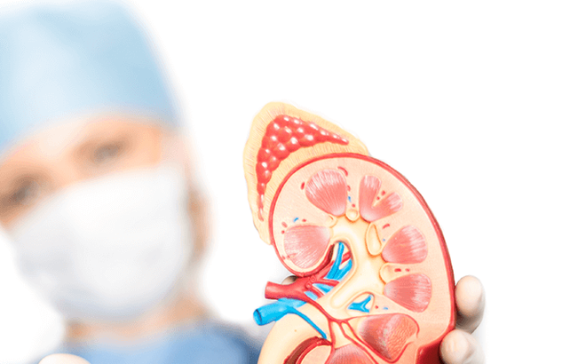 Các xét nghiệm đánh giá chức năng thận thường được dùng hiện nay