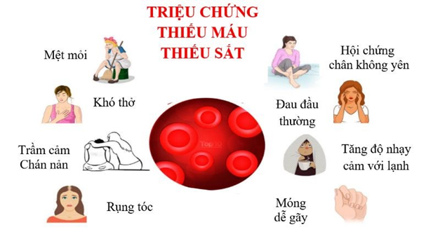 Những điều cần biết về bệnh thiếu máu, thiếu sắt